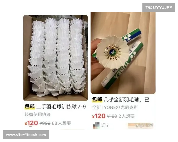 羽毛球线材价格暴涨30% 纳米涂层技术或成行业突破口